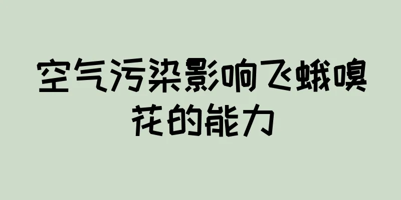 空气污染影响飞蛾嗅花的能力