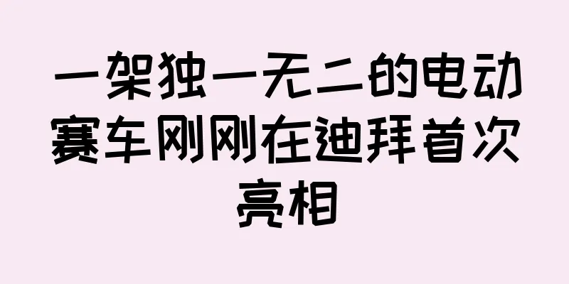一架独一无二的电动赛车刚刚在迪拜首次亮相