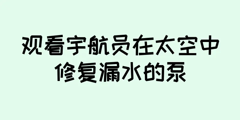 观看宇航员在太空中修复漏水的泵