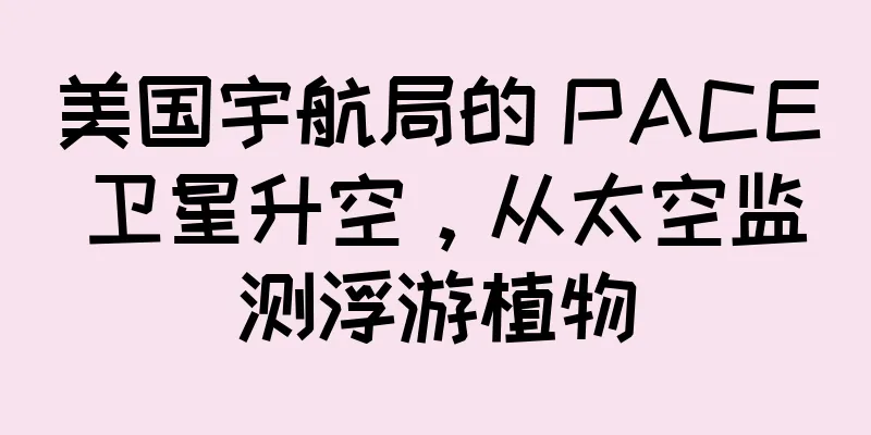美国宇航局的 PACE 卫星升空，从太空监测浮游植物