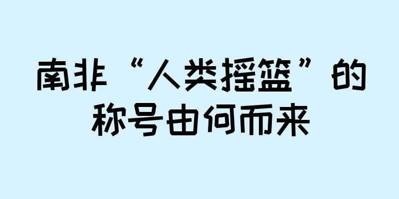 南非“人类摇篮”的称号由何而来