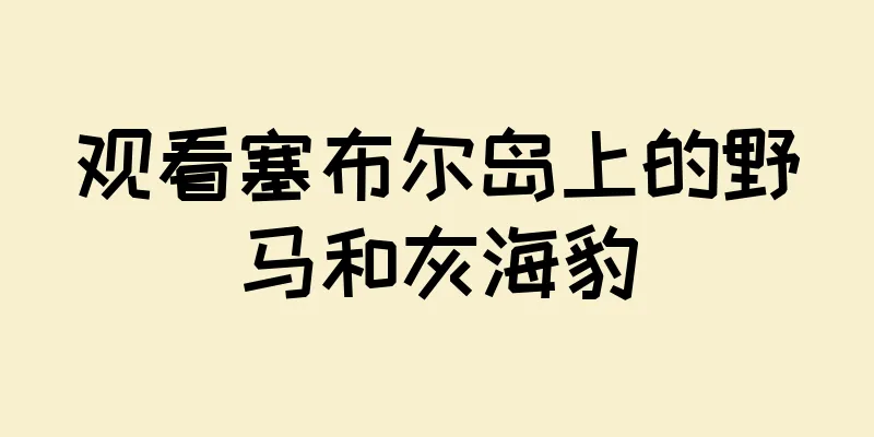观看塞布尔岛上的野马和灰海豹