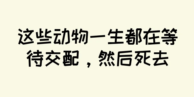 这些动物一生都在等待交配，然后死去