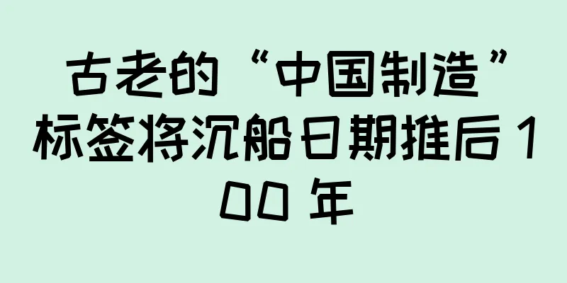古老的“中国制造”标签将沉船日期推后 100 年