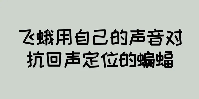 飞蛾用自己的声音对抗回声定位的蝙蝠
