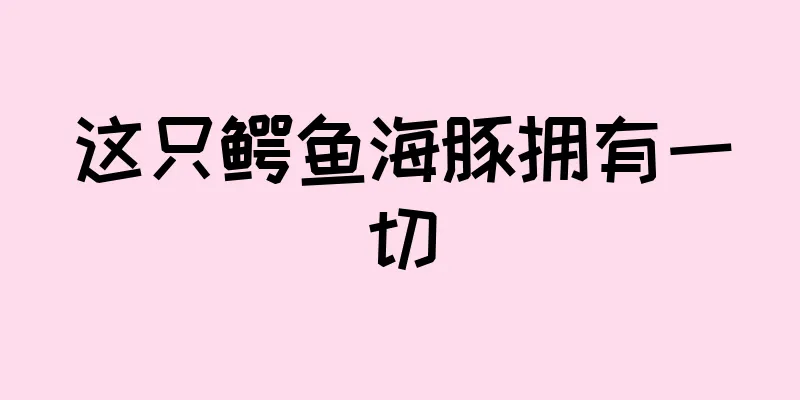 这只鳄鱼海豚拥有一切