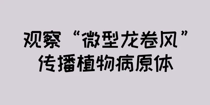 观察“微型龙卷风”传播植物病原体