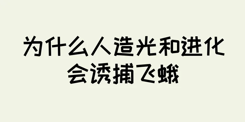 为什么人造光和进化会诱捕飞蛾