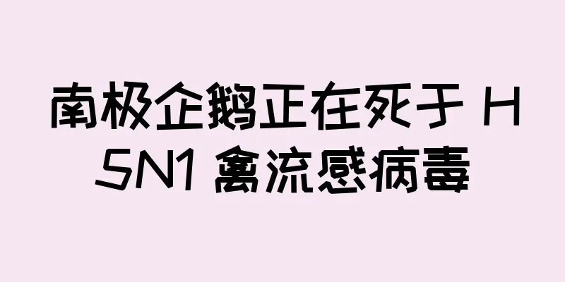 南极企鹅正在死于 H5N1 禽流感病毒
