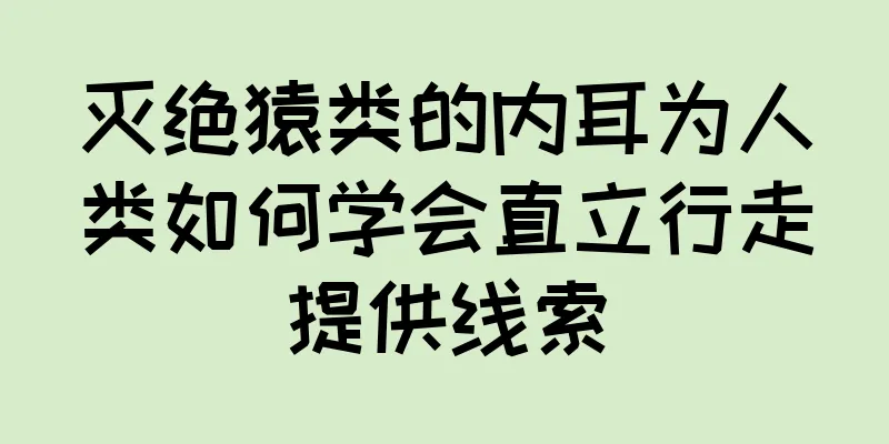 灭绝猿类的内耳为人类如何学会直立行走提供线索