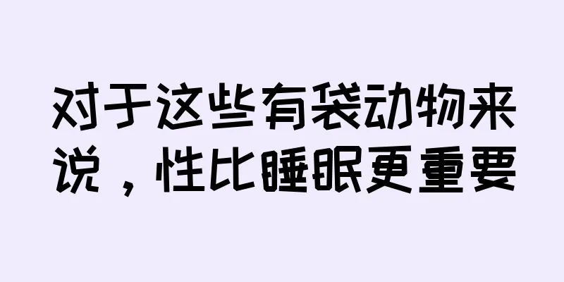 对于这些有袋动物来说，性比睡眠更重要