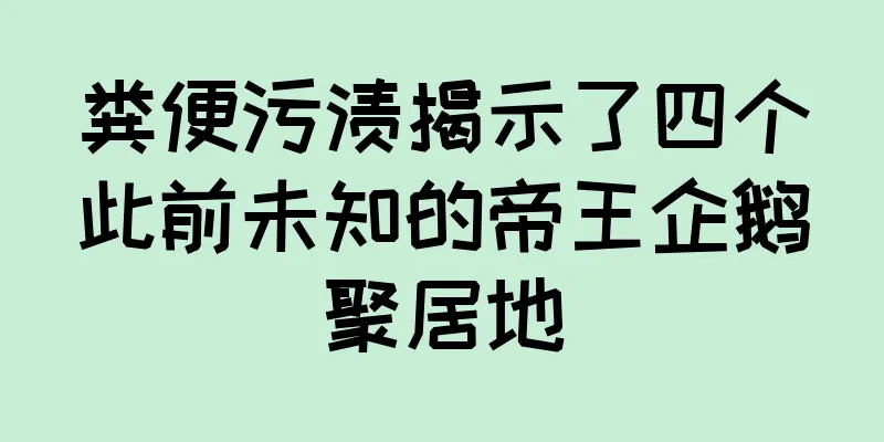 粪便污渍揭示了四个此前未知的帝王企鹅聚居地