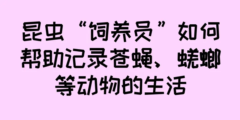 昆虫“饲养员”如何帮助记录苍蝇、蜣螂等动物的生活