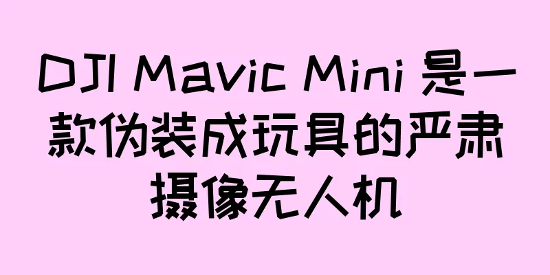 DJI Mavic Mini 是一款伪装成玩具的严肃摄像无人机