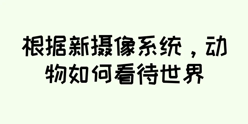 根据新摄像系统，动物如何看待世界