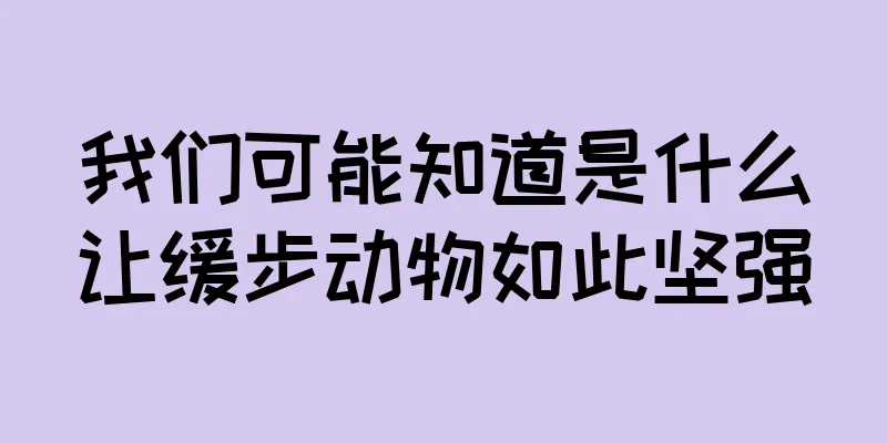 我们可能知道是什么让缓步动物如此坚强