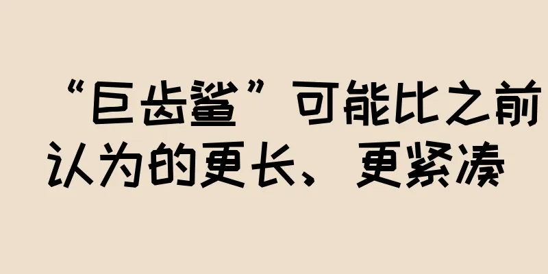 “巨齿鲨”可能比之前认为的更长、更紧凑
