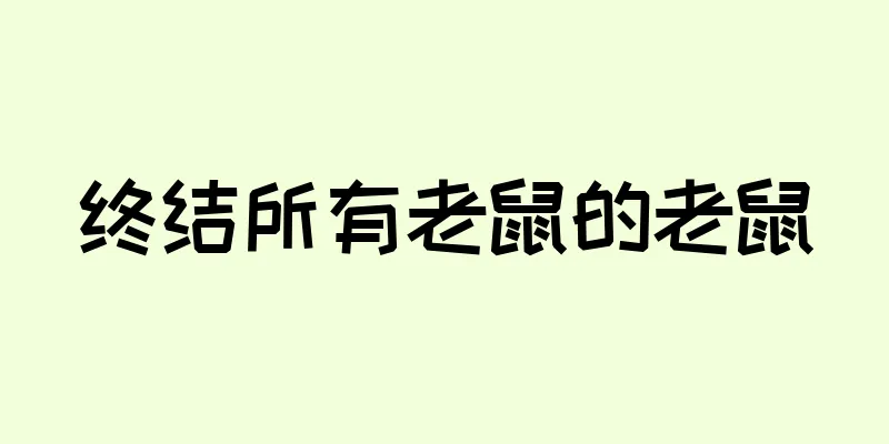 终结所有老鼠的老鼠