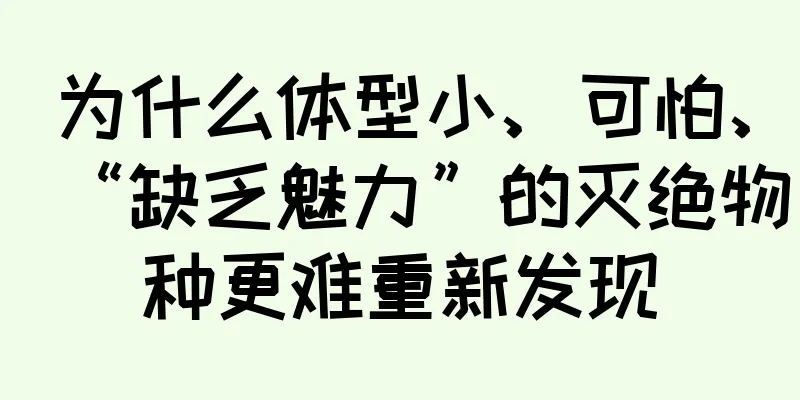 为什么体型小、可怕、“缺乏魅力”的灭绝物种更难重新发现