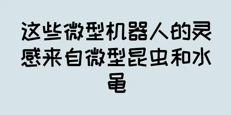 这些微型机器人的灵感来自微型昆虫和水黾