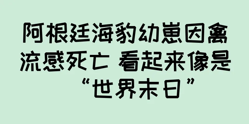 阿根廷海豹幼崽因禽流感死亡 看起来像是“世界末日”