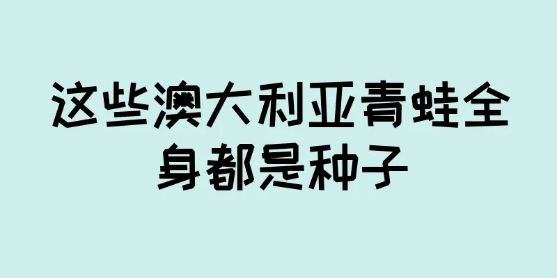 这些澳大利亚青蛙全身都是种子