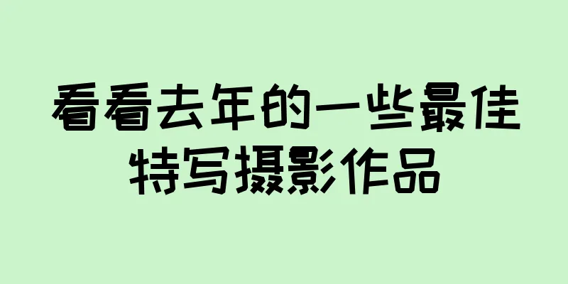 看看去年的一些最佳特写摄影作品