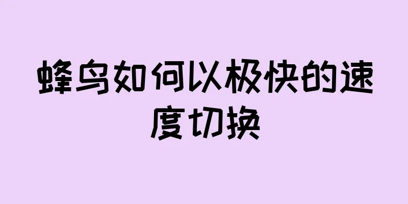 蜂鸟如何以极快的速度切换