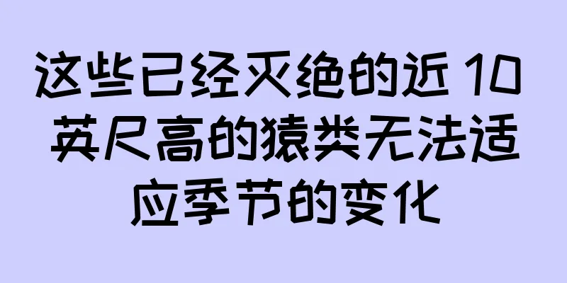 这些已经灭绝的近 10 英尺高的猿类无法适应季节的变化