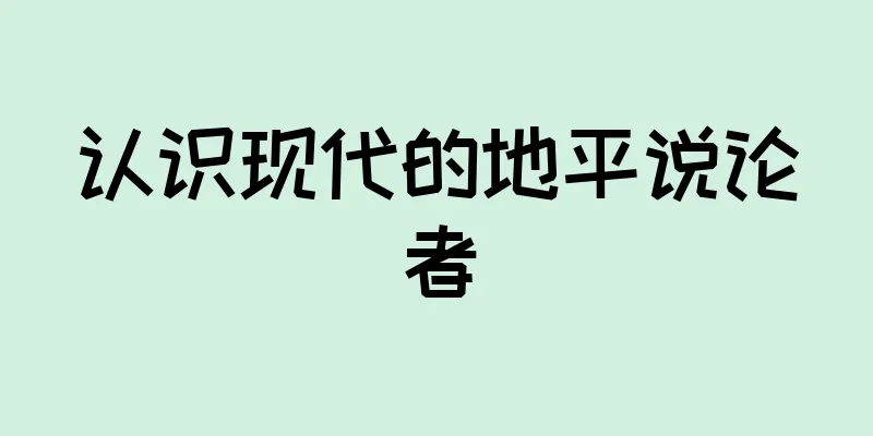 认识现代的地平说论者