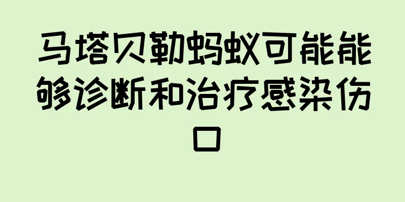 马塔贝勒蚂蚁可能能够诊断和治疗感染伤口
