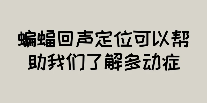 蝙蝠回声定位可以帮助我们了解多动症