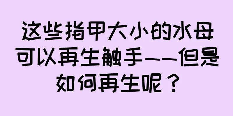 这些指甲大小的水母可以再生触手——但是如何再生呢？