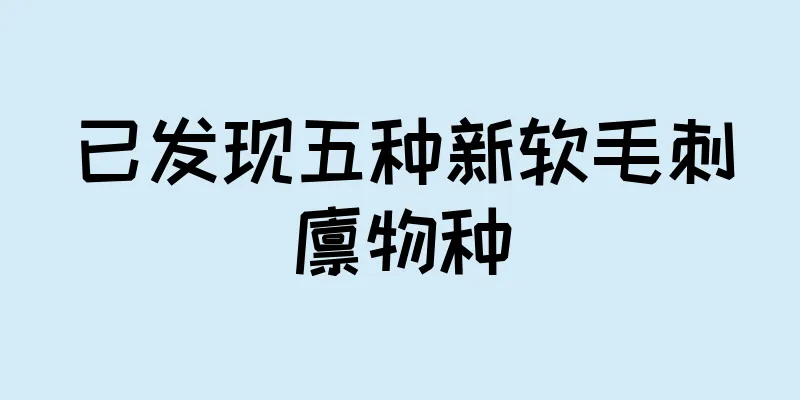 已发现五种新软毛刺猬物种