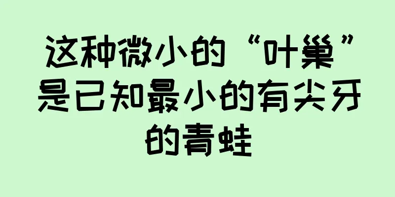 这种微小的“叶巢”是已知最小的有尖牙的青蛙