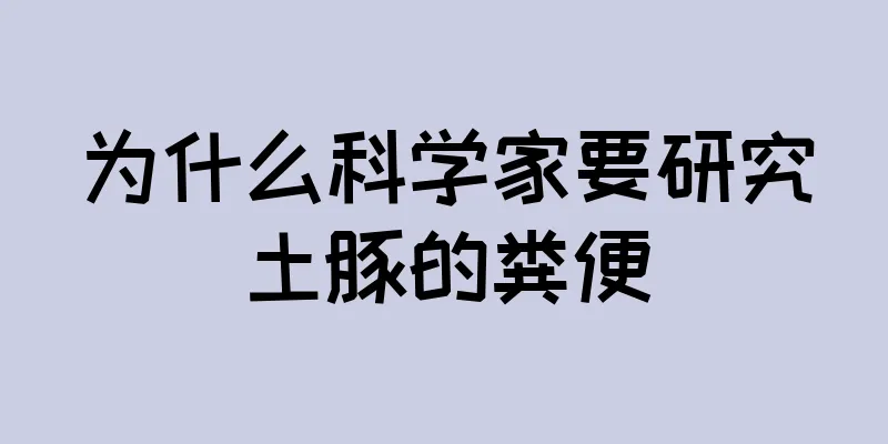 为什么科学家要研究土豚的粪便