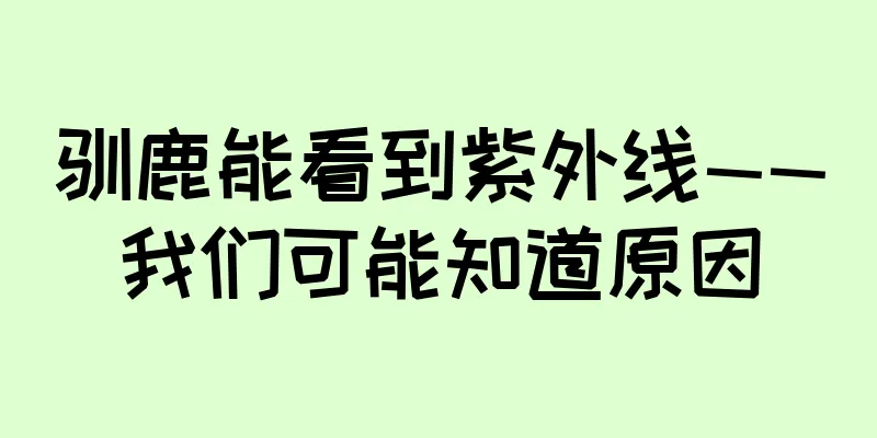 驯鹿能看到紫外线——我们可能知道原因