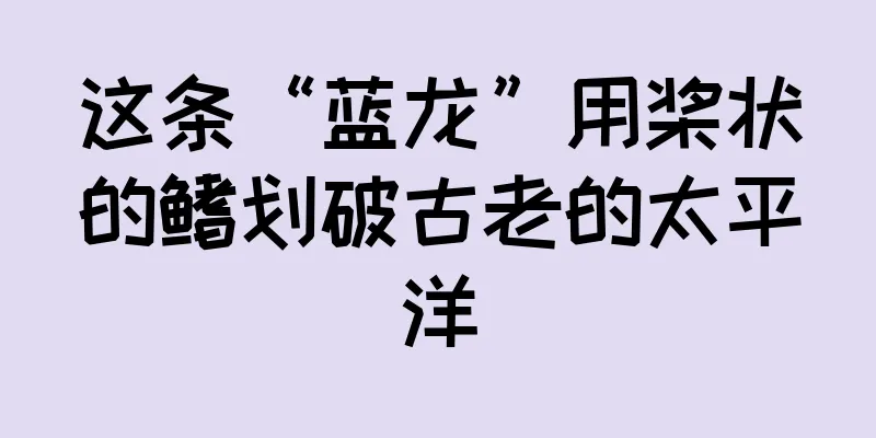 这条“蓝龙”用桨状的鳍划破古老的太平洋