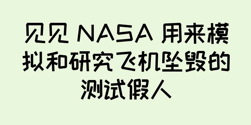 见见 NASA 用来模拟和研究飞机坠毁的测试假人