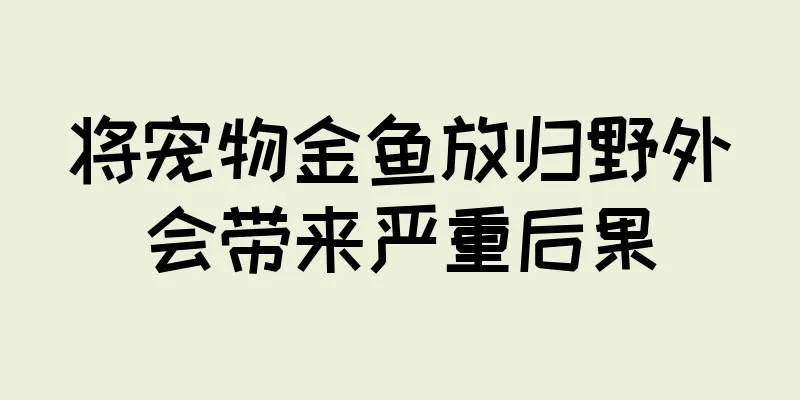 将宠物金鱼放归野外会带来严重后果
