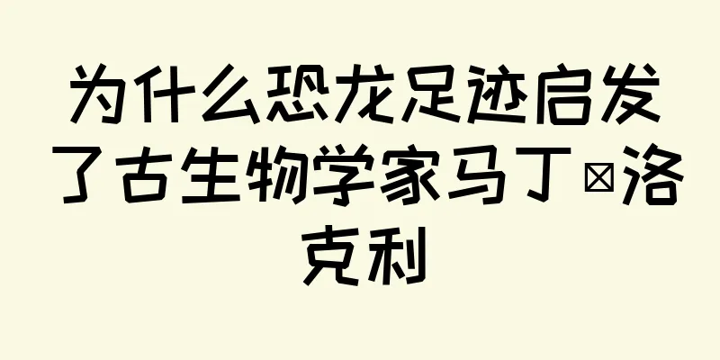 为什么恐龙足迹启发了古生物学家马丁·洛克利