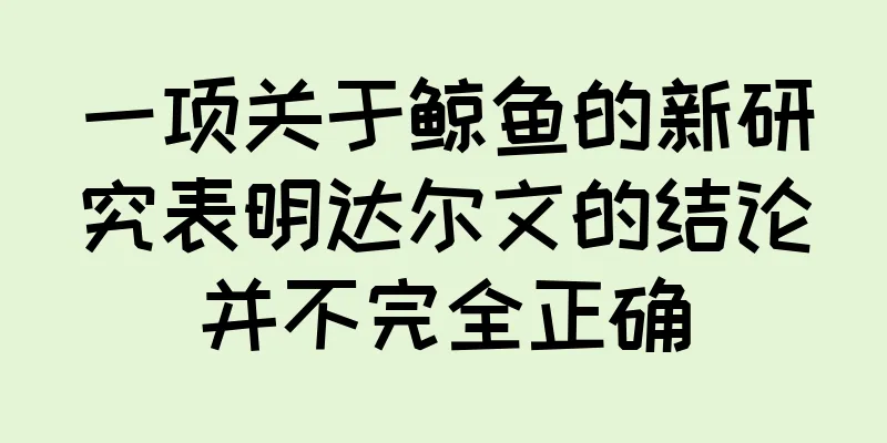 一项关于鲸鱼的新研究表明达尔文的结论并不完全正确