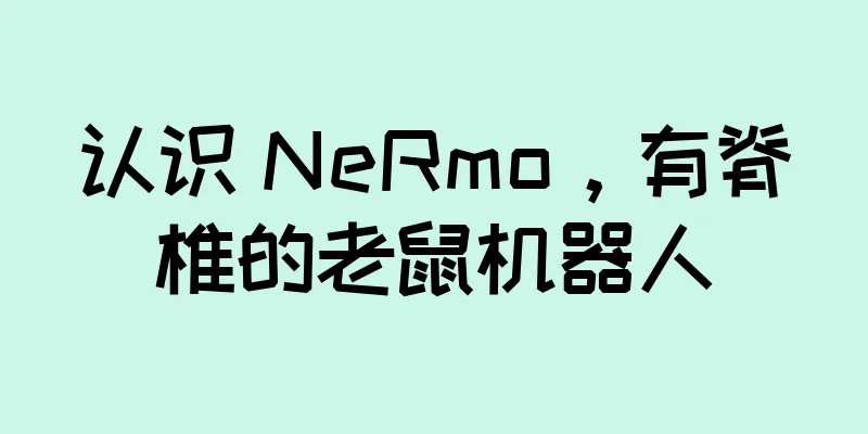 认识 NeRmo，有脊椎的老鼠机器人