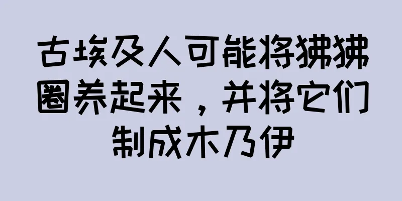 古埃及人可能将狒狒圈养起来，并将它们制成木乃伊