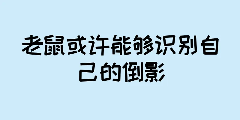 老鼠或许能够识别自己的倒影