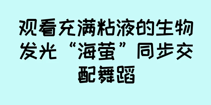 观看充满粘液的生物发光“海萤”同步交配舞蹈