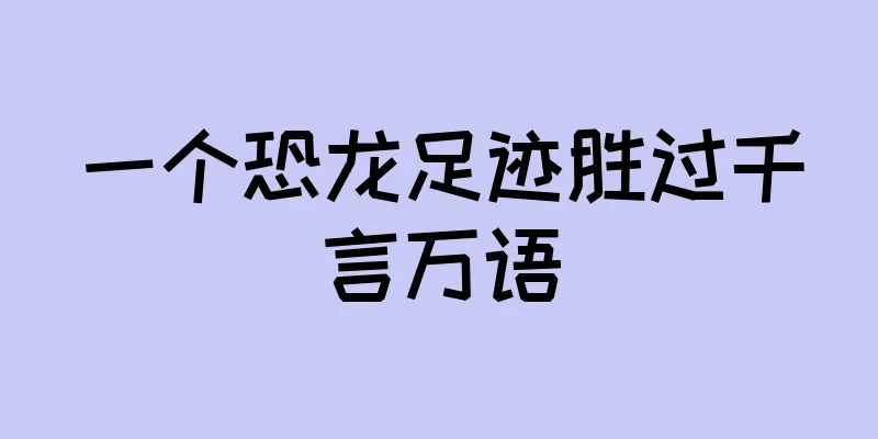 一个恐龙足迹胜过千言万语