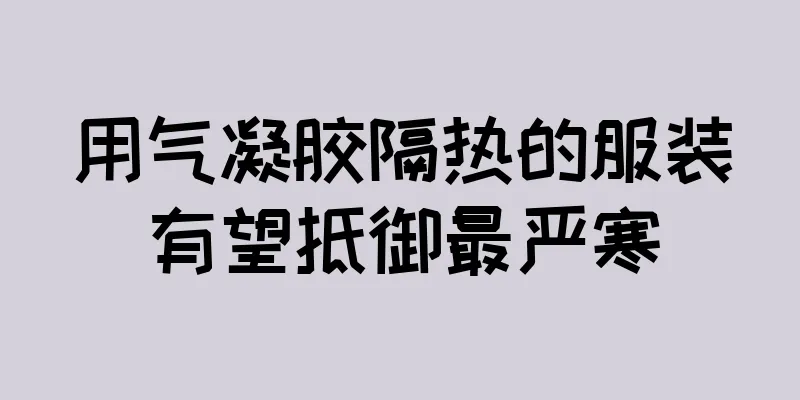 用气凝胶隔热的服装有望抵御最严寒
