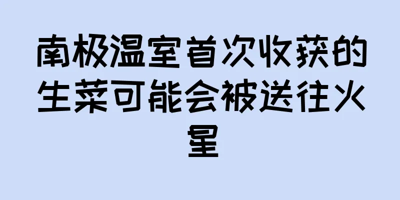 南极温室首次收获的生菜可能会被送往火星