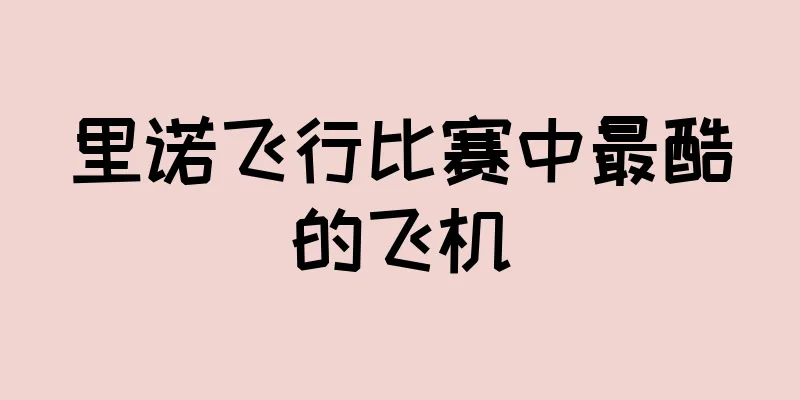 里诺飞行比赛中最酷的飞机